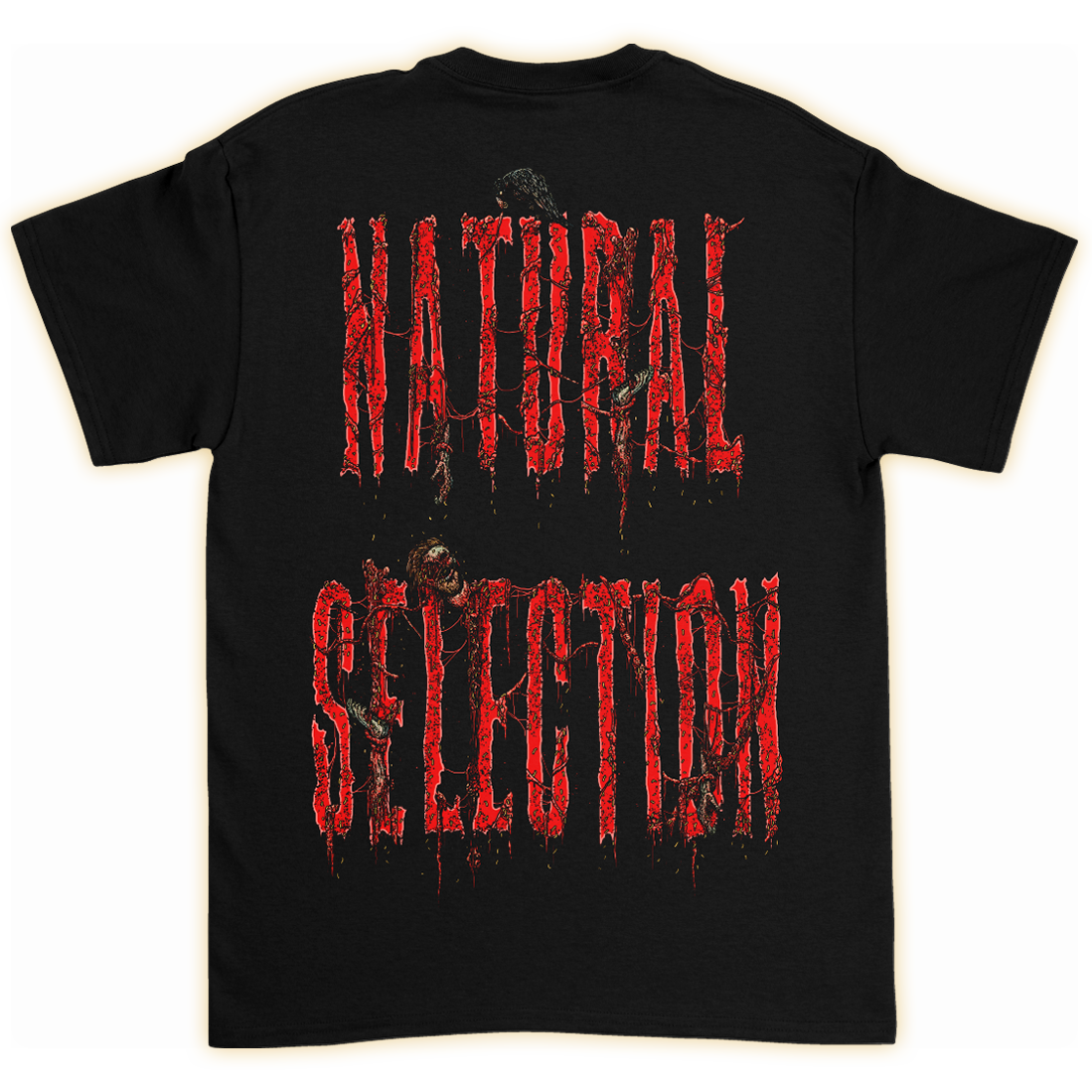 Natural Selection